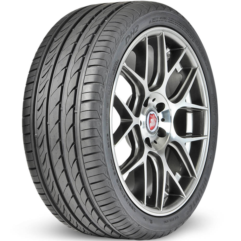 DELINTE DH2 225/55ZR16 (25.7X8.9R 16) Tires